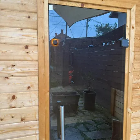 Pelini - 3 圣安德烈