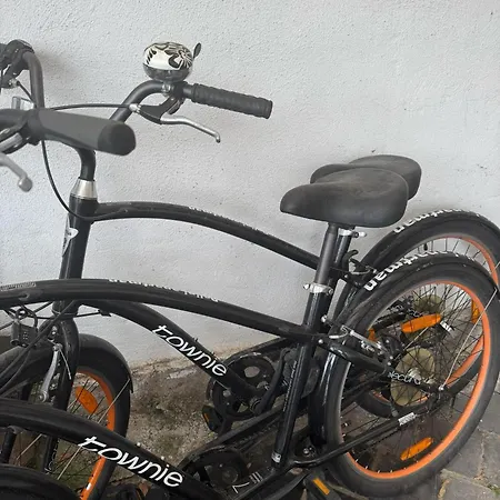 Pelini - 3 圣安德烈